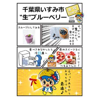 いすみのブルーベリー【配送不可地域：離島】