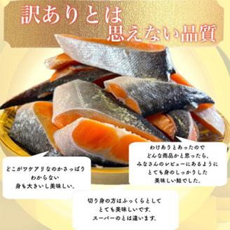【訳あり】人気の海鮮お礼品 チリ産 定塩 塩銀鮭切り落とし(端材)約3kg【配送不可地域：離島】