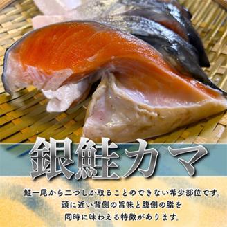 【訳あり】人気海鮮お礼品 銀鮭カマ 約3kg【配送不可地域：離島】
