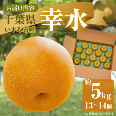 【2026年発送先行受付】いすみ市産幸水梨　約5kg(13～14個)
