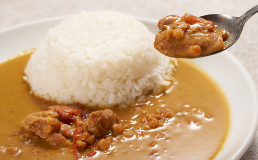 美味安心グリーンカレーレトルト　15箱