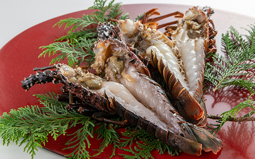 伊勢海老の干物200g×2尾【配送不可地域：離島】