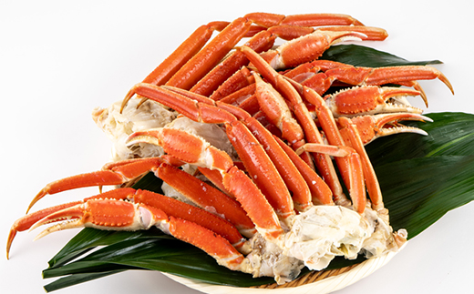 訳アリボイル本ズワイガニ肩 1.3kg【配送不可地域：離島】