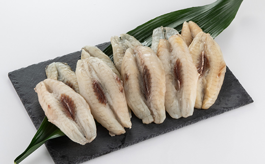 【訳アリ】真フグ一夜干し約500g【配送不可地域：離島】