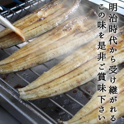 鰻の老舗　千葉県いすみ市藤井のうなぎ白焼き(5匹)【配送不可地域：離島・沖縄県】