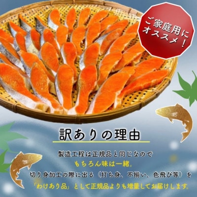 B級銀鮭切り身(打ち身、不揃い、色飛び)約2.4kg【配送不可地域：離島】