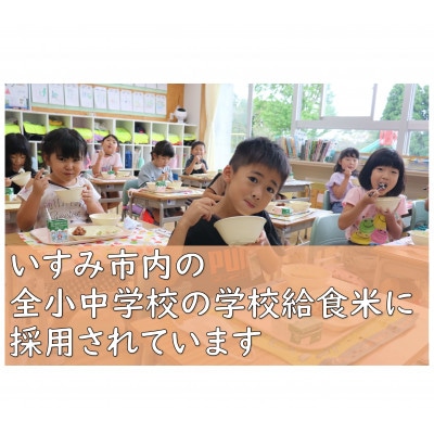 【令和5年産米】千葉県いすみ市産特別栽培米コシヒカリ『いすみっこ』精米10kg(5kg×2袋)