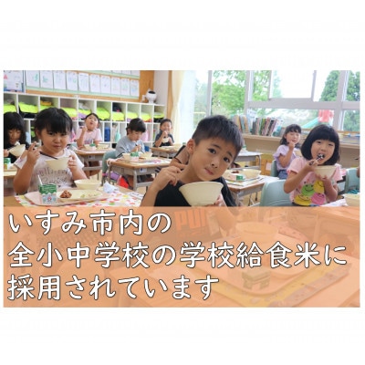 【令和5年産米】千葉県いすみ市産特別栽培米コシヒカリ『いすみっこ』精米5kg(5kg×1袋)