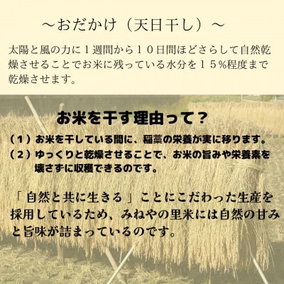 【数量限定】令和7年産　みねやの里米　こしひかり(精米)　5Kg