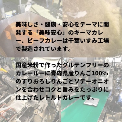 美味安心キーマカレー＆ビーフカレーセット　14個(各7個)