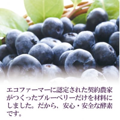 5倍に薄める酵素・まるごとブルーベリー【配送不可地域：離島】