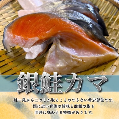 【訳あり】銀鮭カマ(小) 約4kg【配送不可地域：離島】