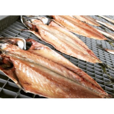 ISUMIんツアー  いすみ市　潮風を感じる!干物作り体験付き大原漁港スタディーツアー