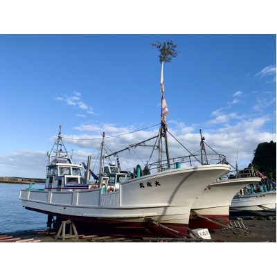 【太東・大原産マダコ】茹で＆生セット(合わせて400g以上)【配送不可地域：離島】