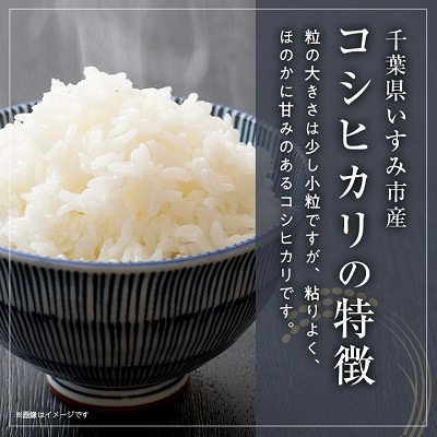 【発送月固定定期便】千葉県いすみ市産コシヒカリ10kg(5kg×2袋)全6回