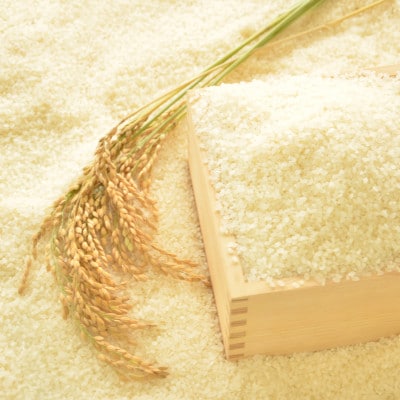 【毎月定期便】千葉県いすみ市産 粒すけ 10kg(5kg×2袋)全3回