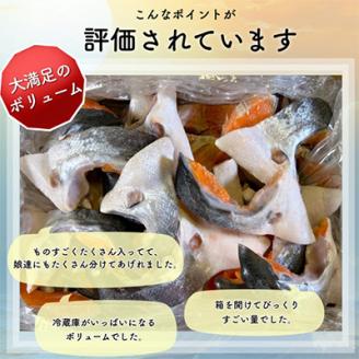 【訳あり】人気海鮮お礼品 銀鮭カマ 約3kg【配送不可地域：離島】