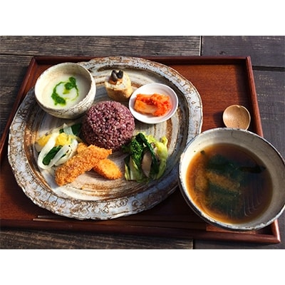 マクロビランチ+いすみ川SUPリバークルーズ体験(2名様)