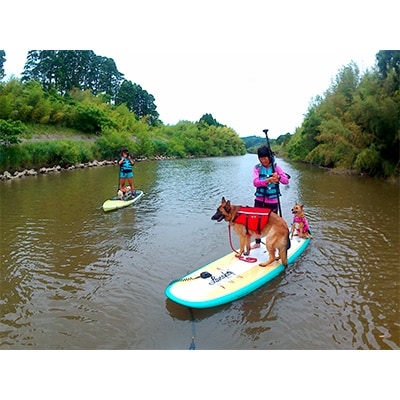 ワンちゃんと一緒にSUPリバークルーズ体験(2名様+犬1匹)