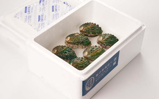 活き蝦夷あわび　6個【配送不可地域：離島・北海道・沖縄県・東北・中国・四国・九州】