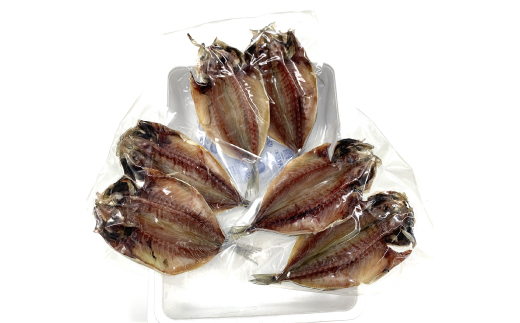 できたて干物!!あじ6枚【配送不可地域：離島】