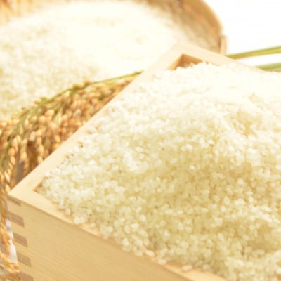 【JAいすみオリジナル】千葉県いすみ市産コシヒカリブレンド　精米20kg(10kg×2袋)