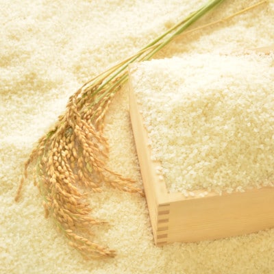 【令和5年産】　ふっくら大粒　千葉県いすみ市産粒すけ　精米10kg(5kg×2袋)