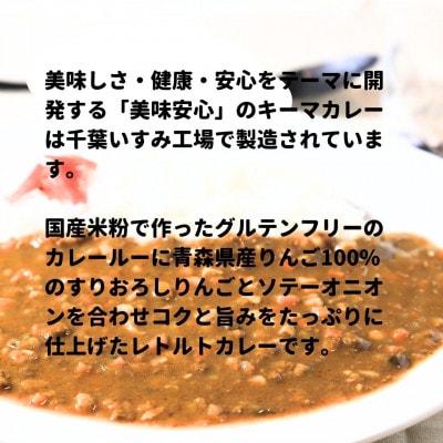 美味安心キーマカレーレトルト　1人前180g×7個
