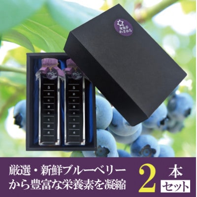 5倍に薄める酵素・まるごとブルーベリー【配送不可地域：離島】