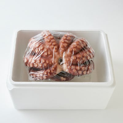 地だこ 1杯 (1.8kg～2.0kg)【配送不可地域：離島】