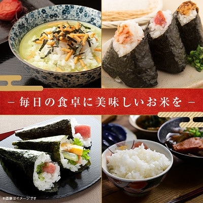 【発送月固定定期便】千葉県いすみ市産コシヒカリ10kg(5kg×2袋)全6回