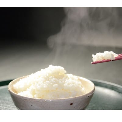 【毎月定期便】千葉県いすみ市産 粒すけ 10kg(5kg×2袋)全3回