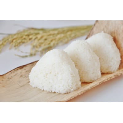 【毎月定期便】千葉県いすみ市産コシヒカリ10kg(5kg×2袋)全3回