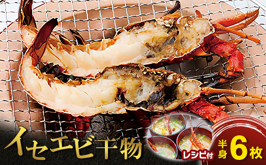 イセエビ干物セット(半身×6)　海の直売所 アルファ【配送不可地域：離島】