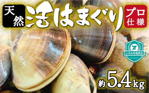 プロも認める活はまぐり 国産 天然 約5.4kg 千葉県 九十九里産【配送不可地域：離島・沖縄県】