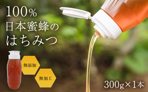 日本蜜蜂のはちみつ