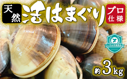 天然はまぐり約3kg (千葉県産)【配送不可地域：離島・沖縄県】