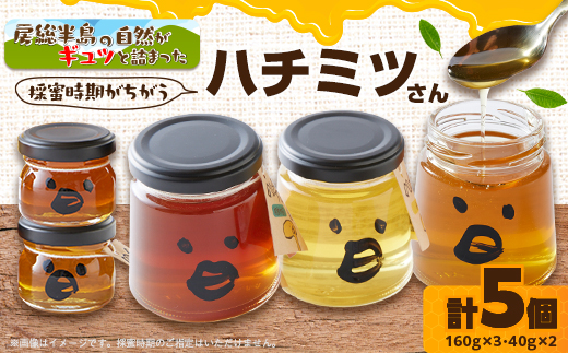 いすみ市の『ハチミツさん』160g×3個、40gx2個セット