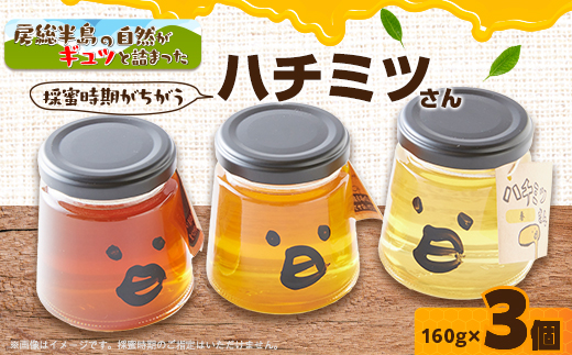 いすみ市の『ハチミツさん』160g×3個