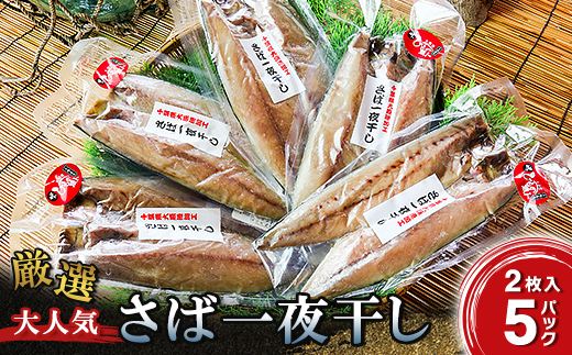 厳選!大人気さば一夜干し【配送不可地域：離島】