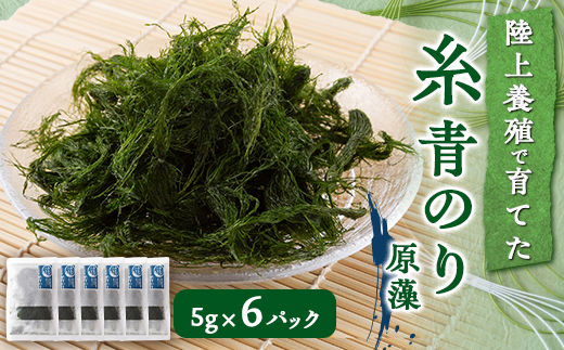 陸上養殖あおのり(原藻)　5g×6パック
