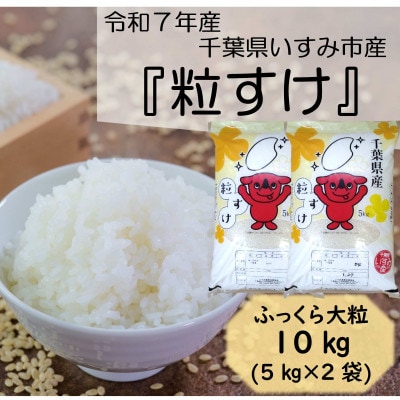 【令和7年産米】　ふっくら大粒　千葉県いすみ市産粒すけ　精米10kg(5kg×2袋)