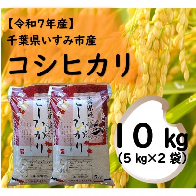 【令和7年産米】　千葉県いすみ市産　コシヒカリ精米10kg(5kg×2袋)