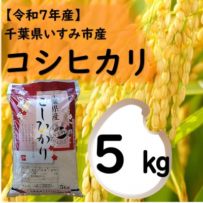 【令和7年産米】　千葉県いすみ市産　コシヒカリ精米5kg