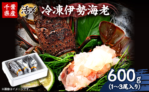 活〆冷凍伊勢海老600g【配送不可地域：離島】