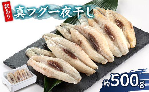 【訳アリ】真フグ一夜干し約500g【配送不可地域：離島】