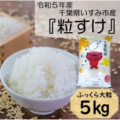 【令和5年産】　ふっくら大粒　千葉県いすみ市産粒すけ　精米5kg