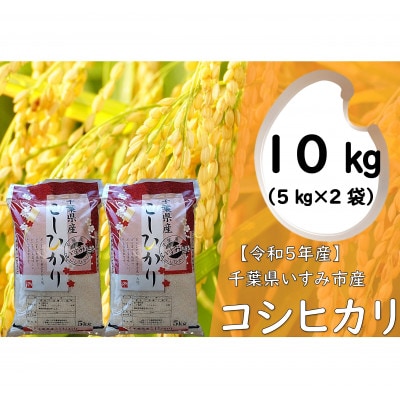 【令和5年産】　関東一早場米産地　千葉県いすみ市産　コシヒカリ精米10kg(5kg×2袋)