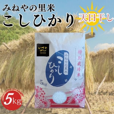 【数量限定】令和7年産　みねやの里米　こしひかり(精米)　5Kg