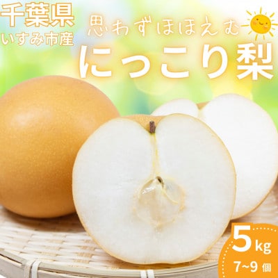 いすみ市産にっこり梨　約5kg(7～9個)